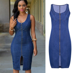 Slim Zipper Denim Dress - Veira Trending Shop