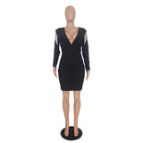 Sexy Long Sleeve Dress - Veira Trending Shop